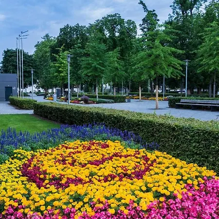 Parkhotel Schillerhoehe فندق